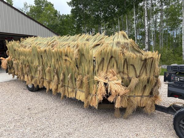 Goose blind gets refurbished