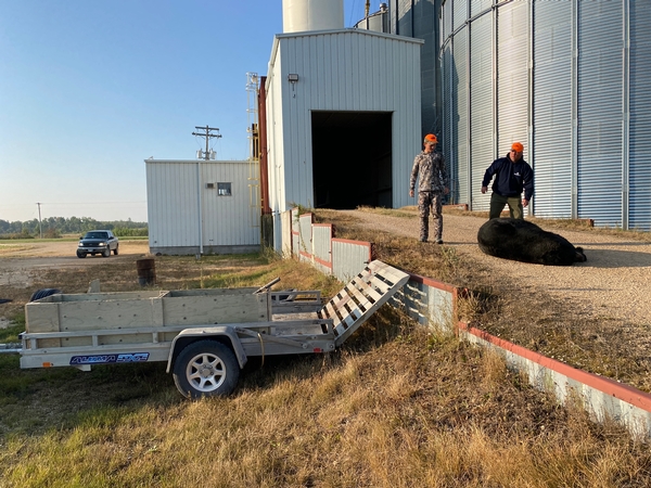 So big, had to bring to grain elevator