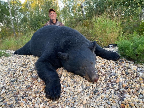 Return trip finds huge boar