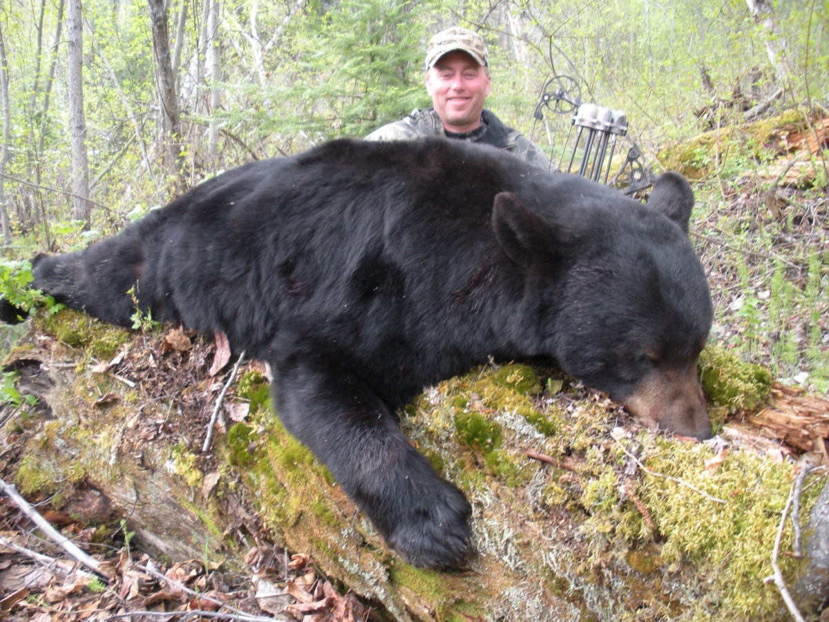 Interlake Safaris - Alberta Black Bear Hunts