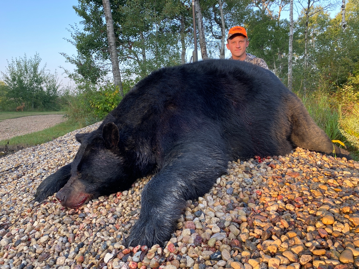 Manitoba Black Bear Hunting Adventures (3)