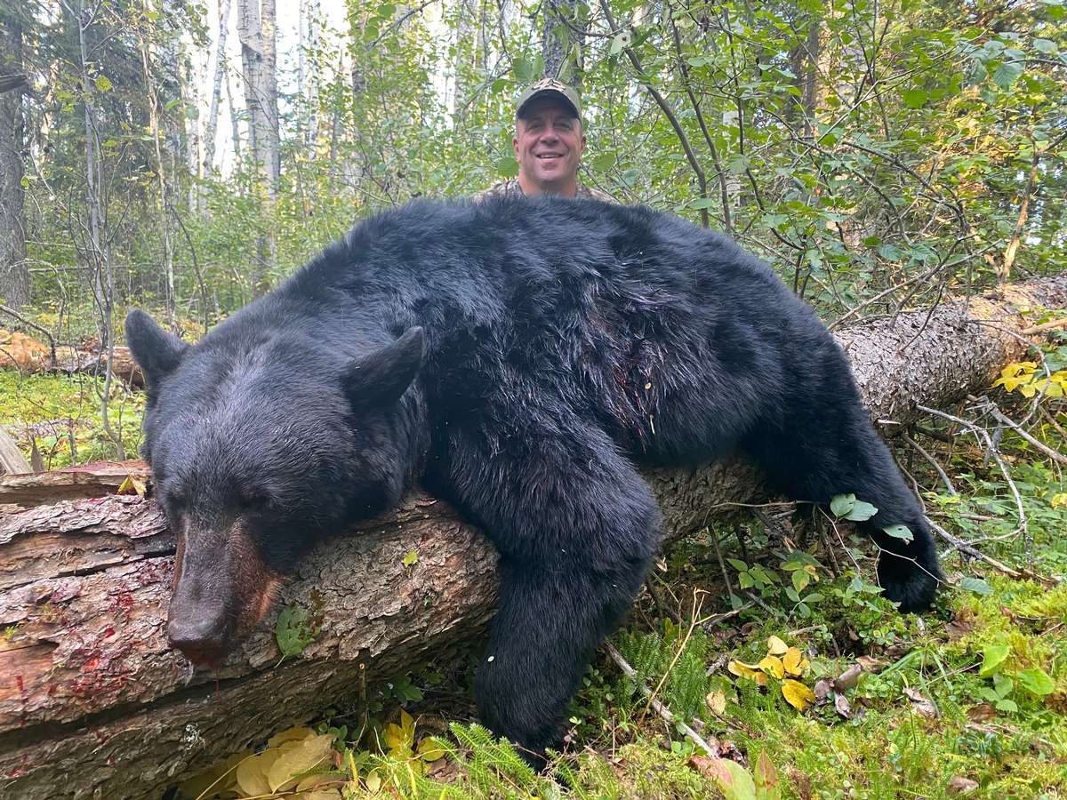 Interlake Safaris - Alberta Black Bear Hunts